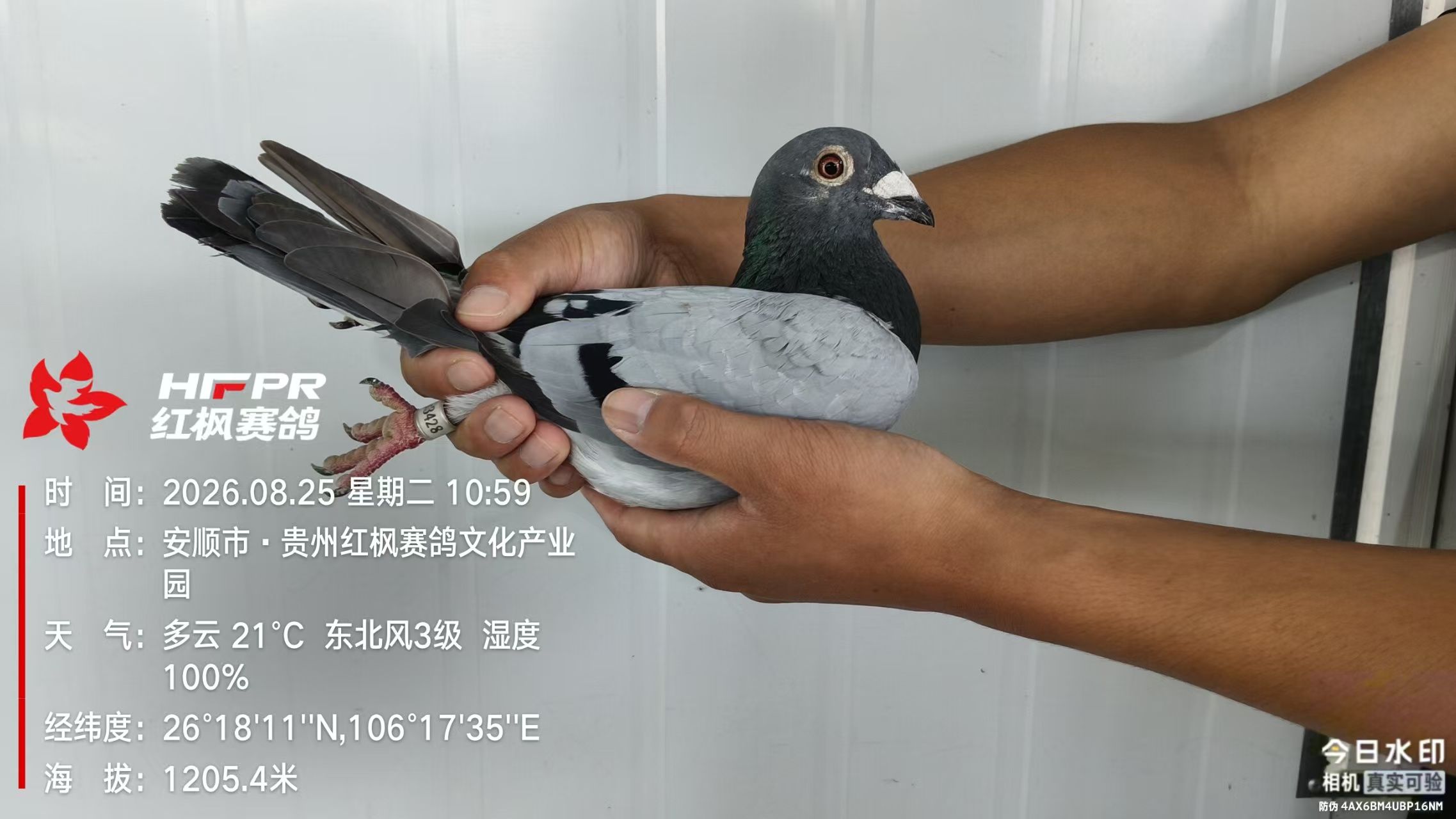 2025-19-1133428.jpg