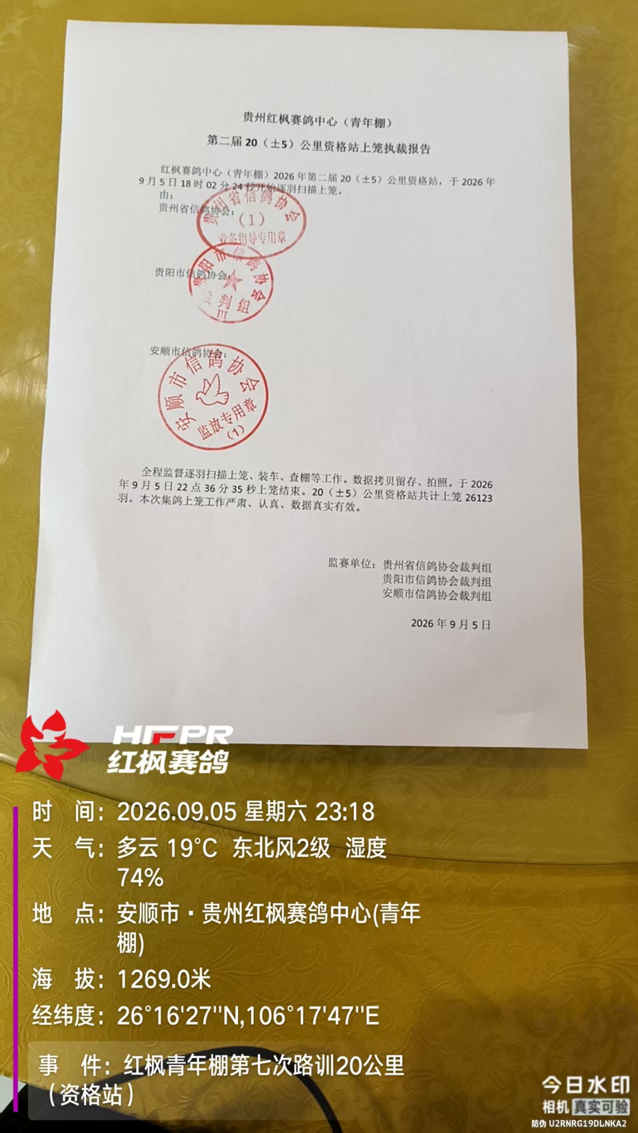 青年棚资格站.jpg