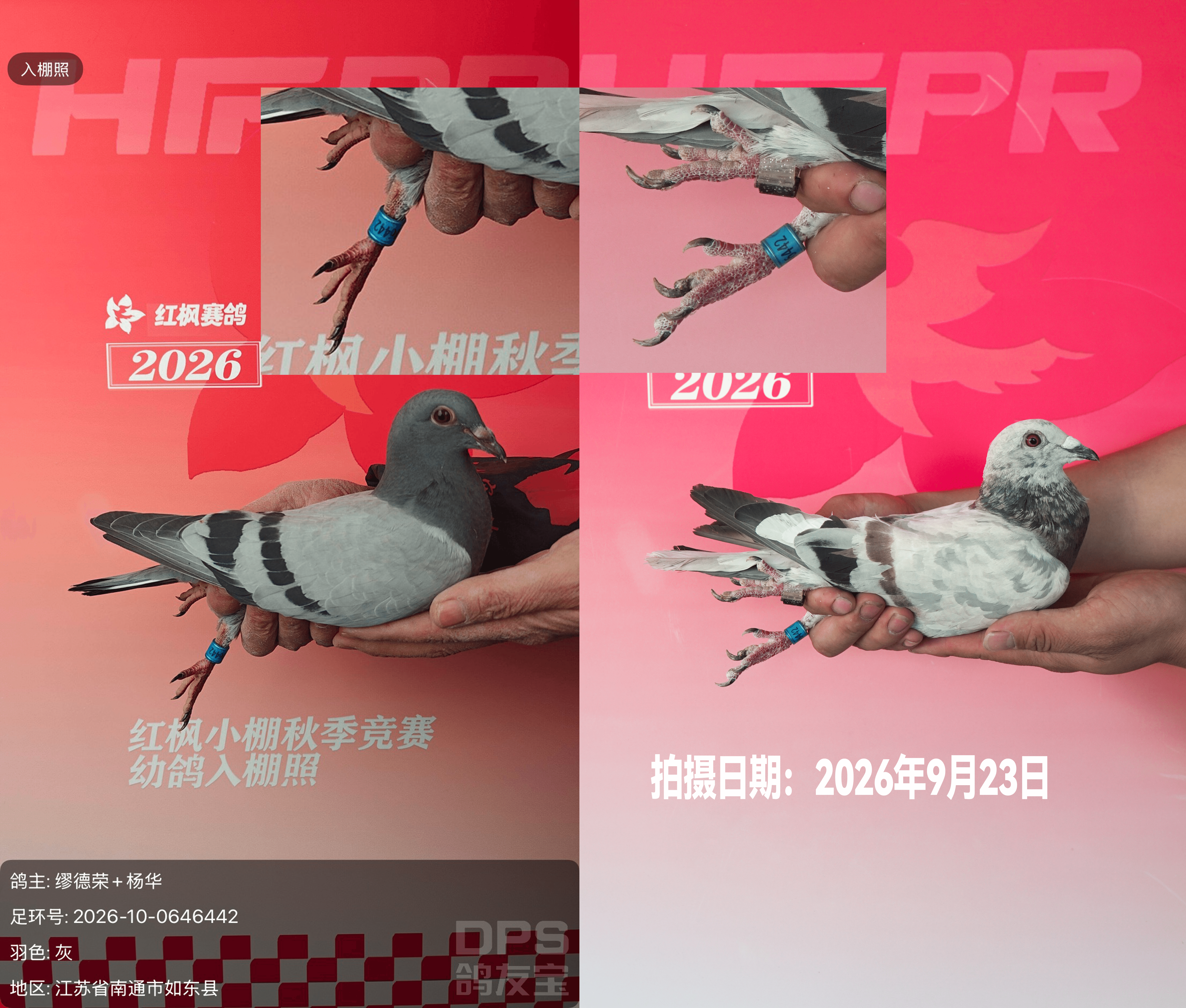 对比.png