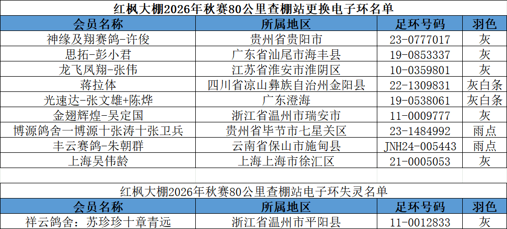 更换电子化.png