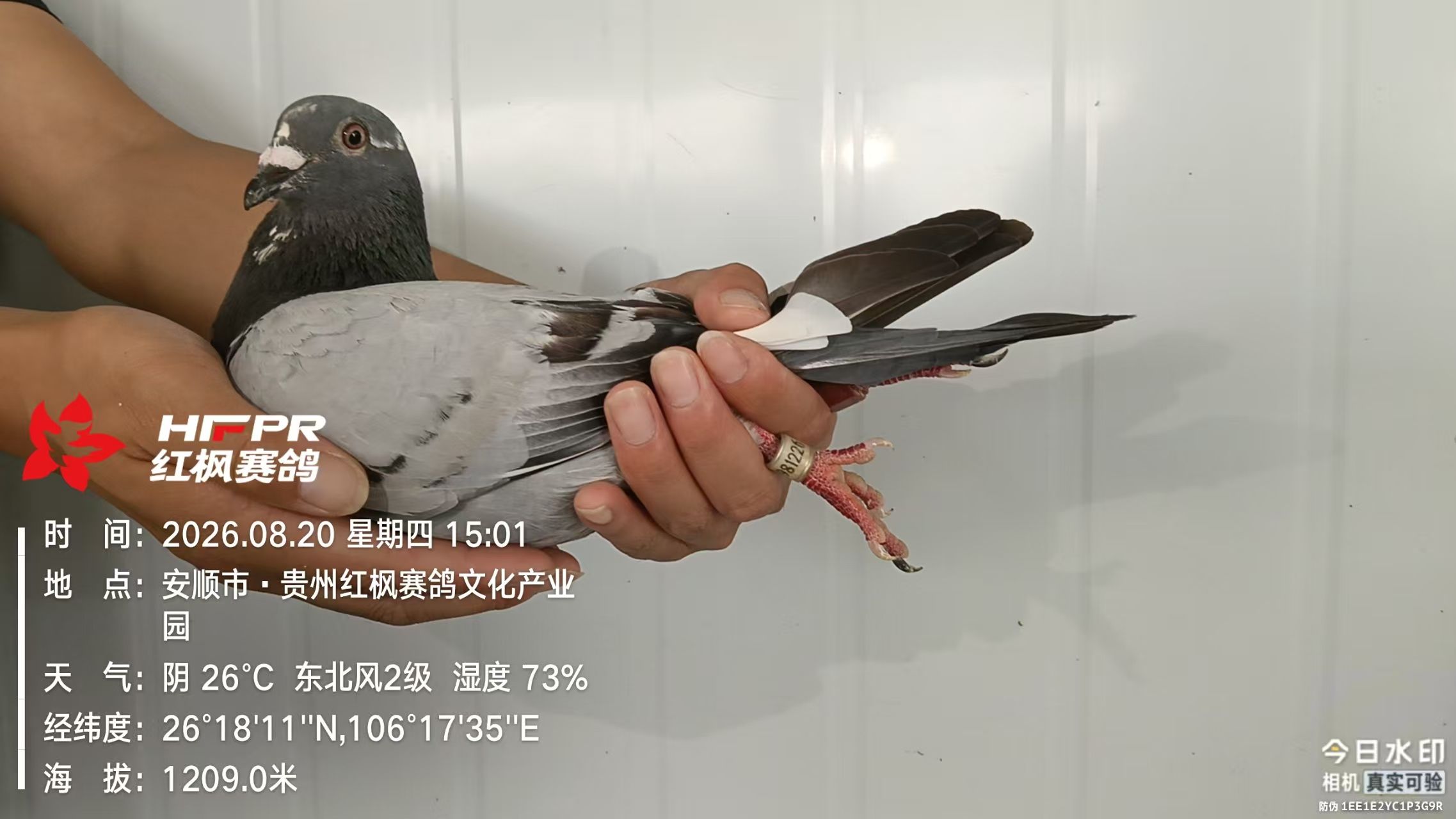 d723fc325f395737bd8da58f21684070.jpg